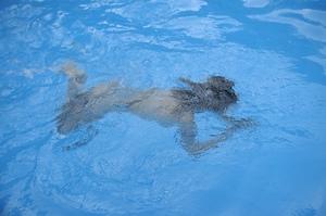 Original 2560 px/ 1702 px