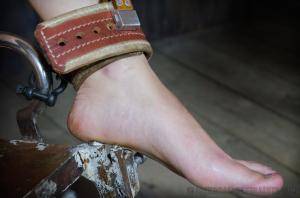 Original 1200 px/ 795 px