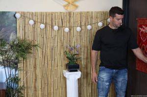 Original 2495 px/ 1663 px