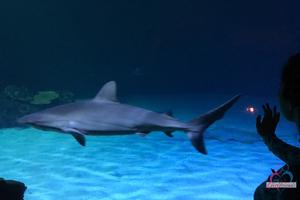 Original 3000 px/ 2000 px