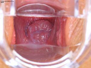 Original 1600 px/ 1200 px