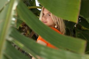 Original 4000 px/ 2667 px