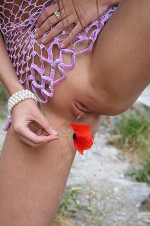 Original 2000 px/ 3000 px