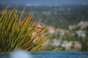 Original 2495 px/ 1663 px