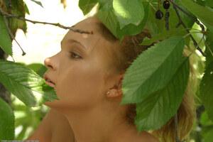 Original 1536 px/ 1024 px