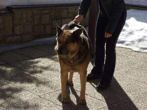 Original 1600 px/ 1200 px