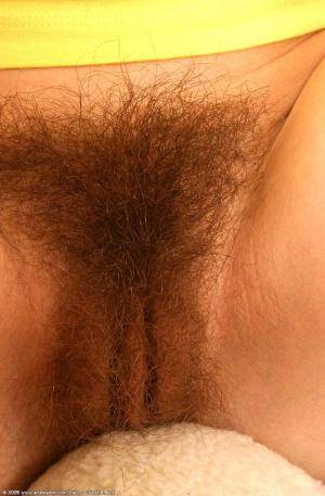 Original 672 px/ 1024 px