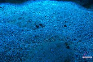 Original 3000 px/ 2000 px