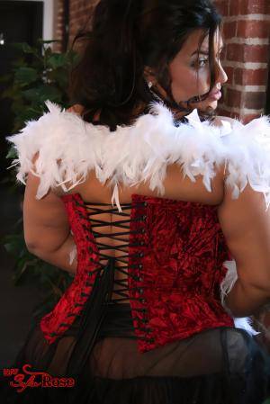 Original 2004 px/ 3000 px