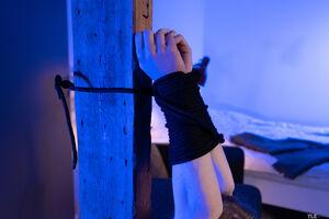 Original 6000 px/ 4000 px