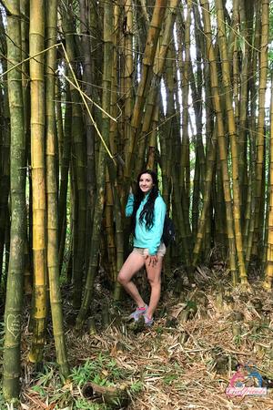 Original 2000 px/ 3000 px