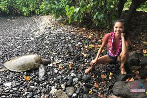 Original 3000 px/ 2000 px