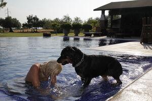 Original 5184 px/ 3456 px