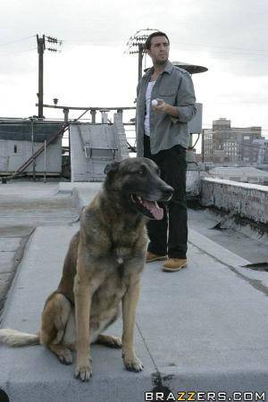 Original 600 px/ 900 px