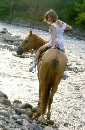 Original 1312 px/ 2000 px