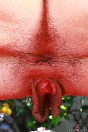 Original 2000 px/ 3000 px