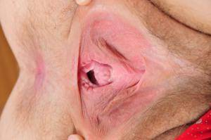 Original 3000 px/ 1993 px