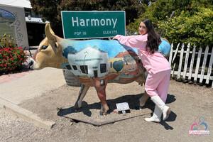 Original 5000 px/ 3333 px