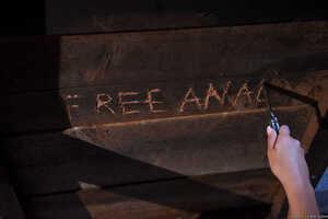 Original 2491 px/ 1663 px