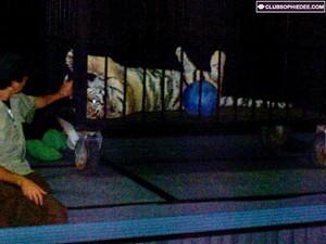 Original 1024 px/ 767 px