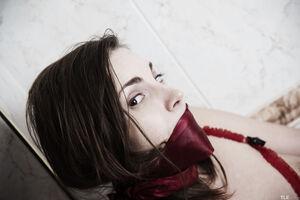 Original 6016 px/ 4016 px