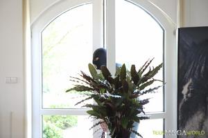 Original 3500 px/ 2333 px