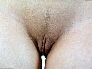 Original 1024 px/ 768 px