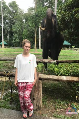 Original 2000 px/ 3000 px