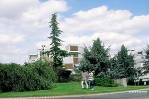 Original 3200 px/ 2123 px