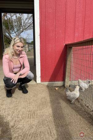 Original 2000 px/ 3000 px