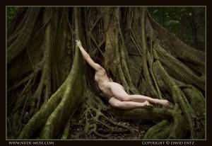 Original 5000 px/ 3439 px