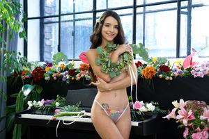 Original 7952 px/ 5304 px