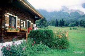 Original 3200 px/ 2123 px