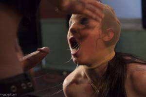 Original 1200 px/ 800 px