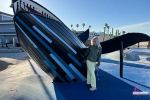 Original 5000 px/ 3333 px