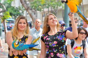 Original 4928 px/ 3280 px