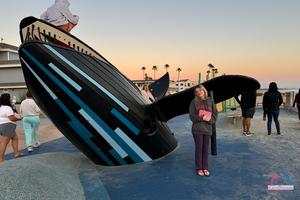 Original 3000 px/ 2000 px