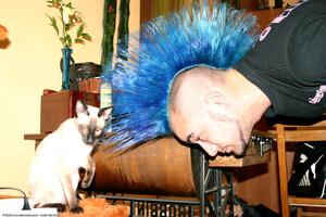 Original 1536 px/ 1024 px