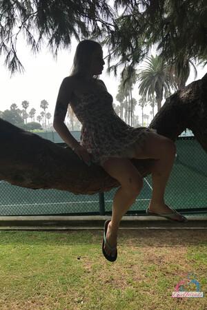 Original 2000 px/ 3000 px