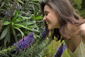 Original 4000 px/ 2667 px