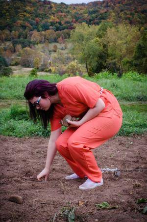 Original 795 px/ 1200 px