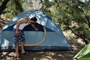 Original 2495 px/ 1663 px