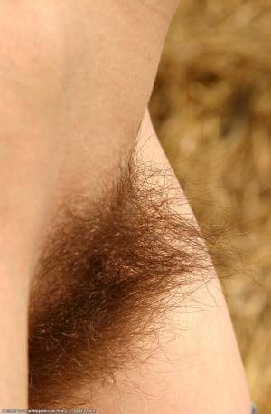 Original 672 px/ 1024 px