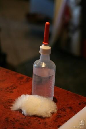 Original 853 px/ 1280 px