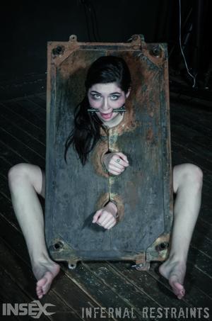 Original 795 px/ 1200 px