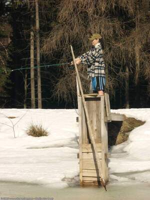 Original 1200 px/ 1600 px