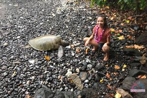 Original 3000 px/ 2000 px