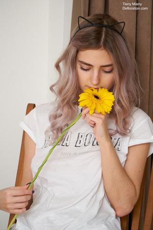 Original 1667 px/ 2500 px