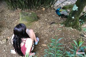 Original 3000 px/ 2000 px