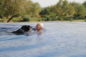 Original 5184 px/ 3456 px